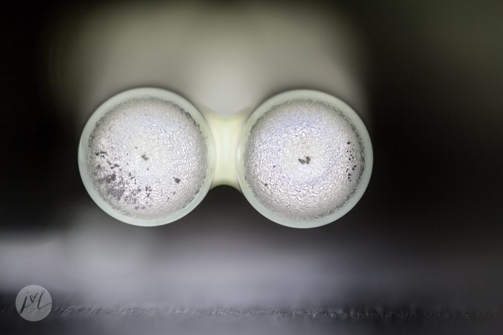Jina Lee Photography | Atlanta Macro Photographer
