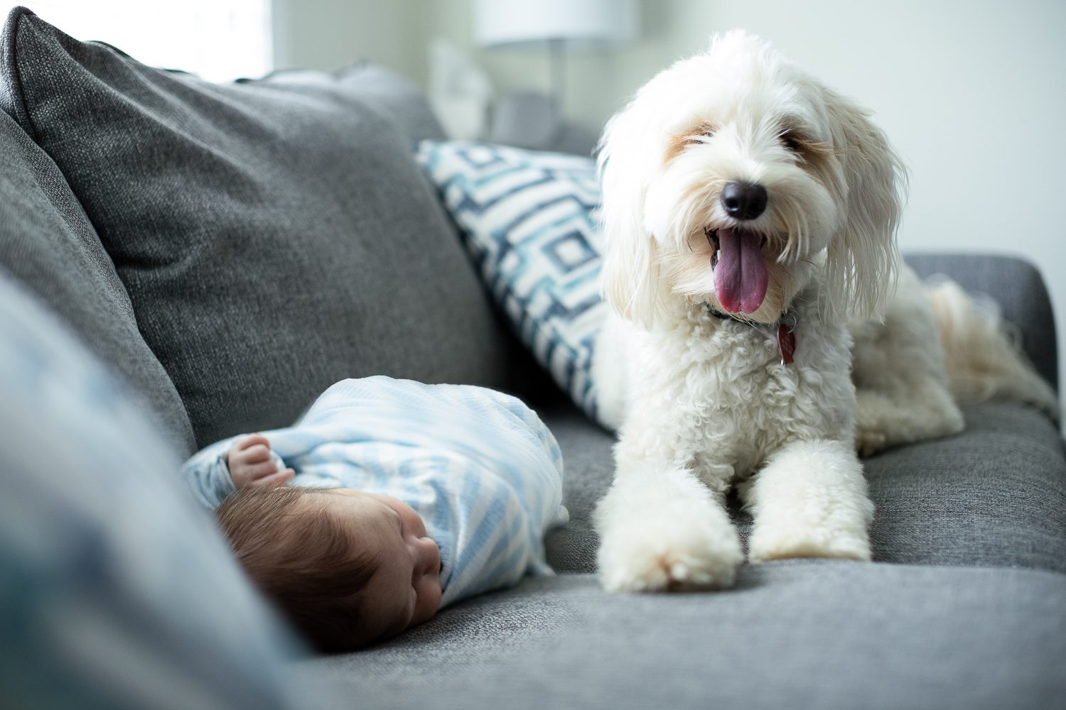 Jina Lee Photography | Atlanta Newborn Photographer