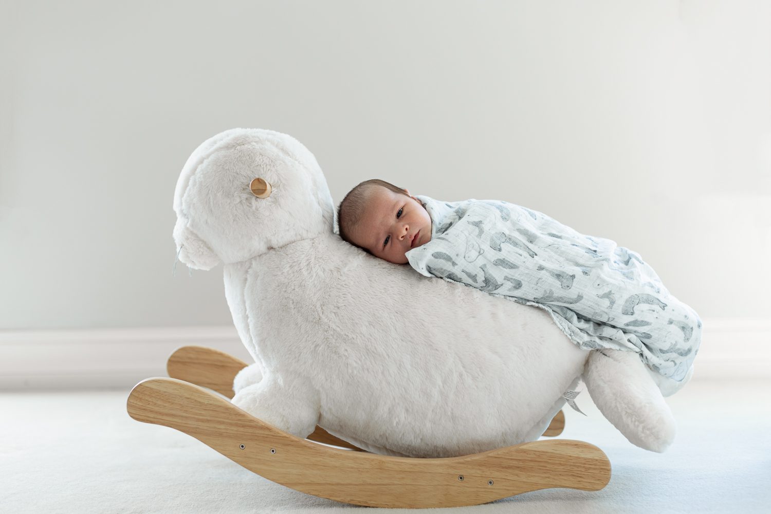 Jina Lee Photography | Atlanta Newborn Photographer