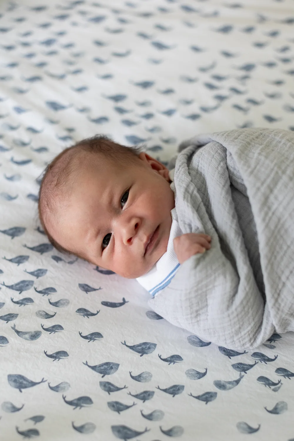 Jina Lee Photography | Canton Newborn Photographer